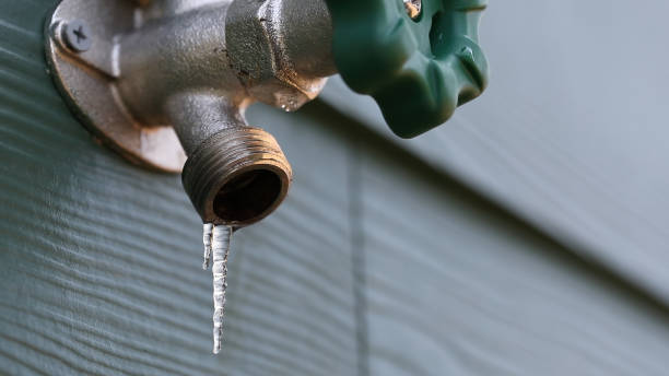 Best Clogged Drain Plumber  in Perry, FL